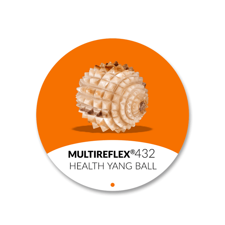 yang health ball  ✦ nº432