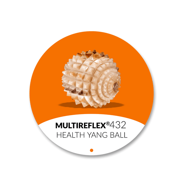 Yang Health Ball | Nº432